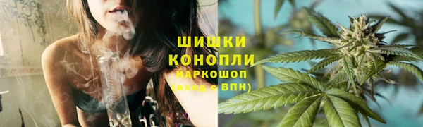 амф Арсеньев