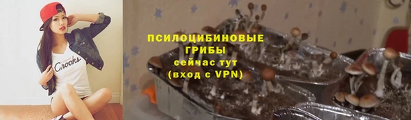 дмт Аркадак