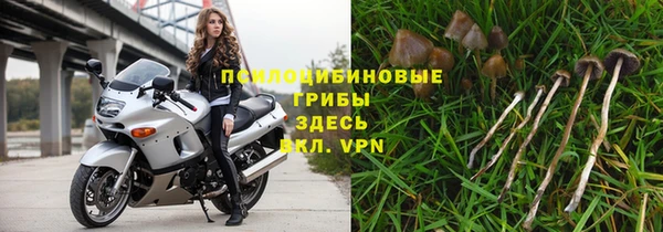 дмт Аркадак